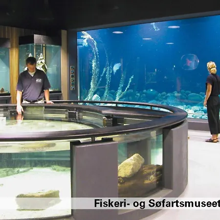 Iii Lägenhet